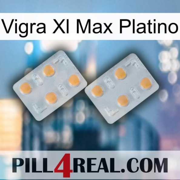 Vigra Xl Max Platinum 25.jpg